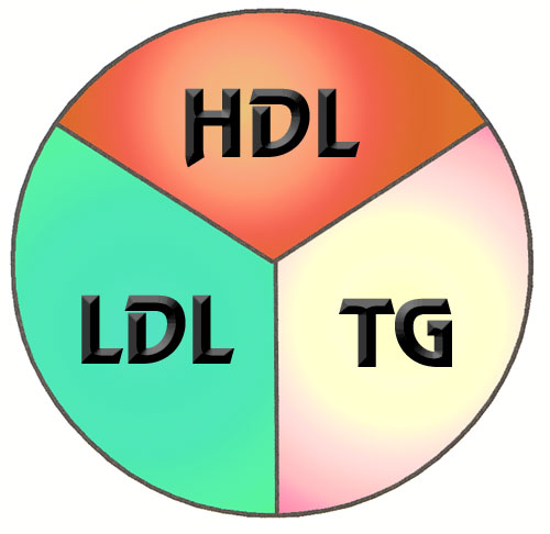 Colesterolo HDL, cosa mangiare per aumentarlo